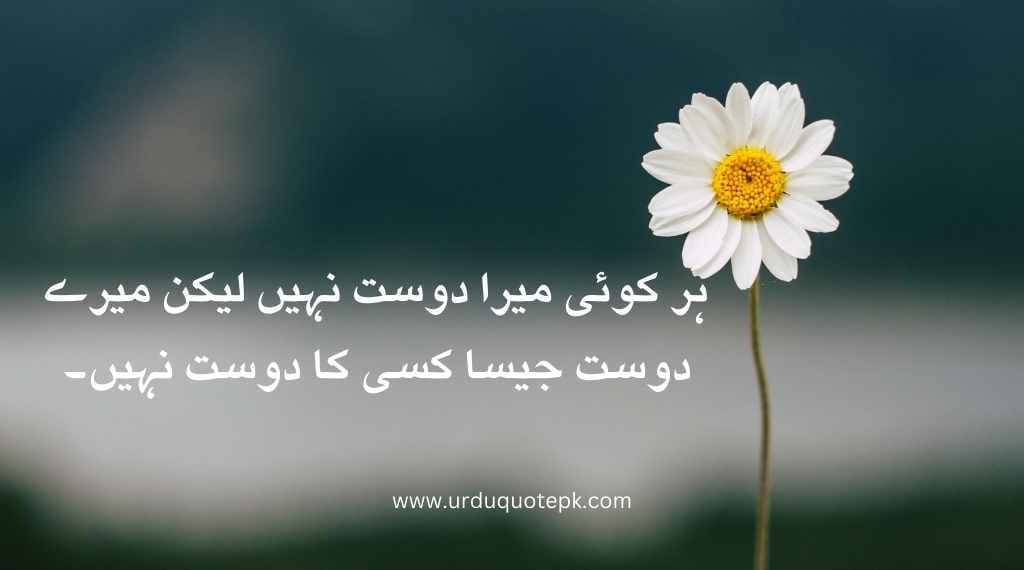 A of pictures of flower and writen friends quotes in urdu.