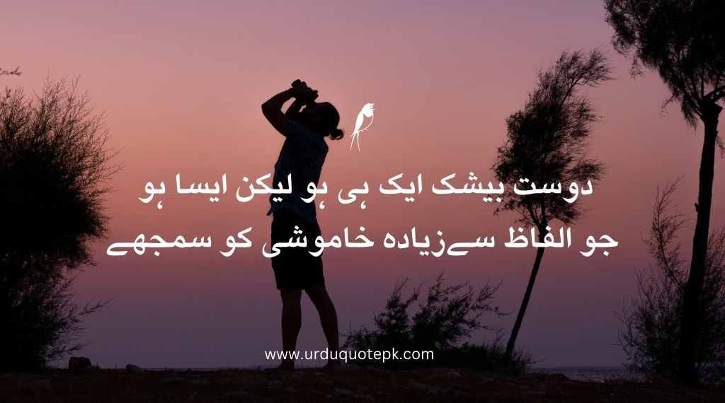 A of pictures of boy With friendship urdu quotes and dosti shayri.