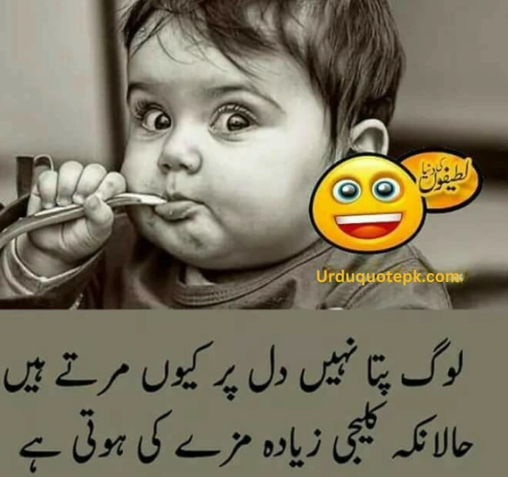 a image with Funny Urdu Quotes