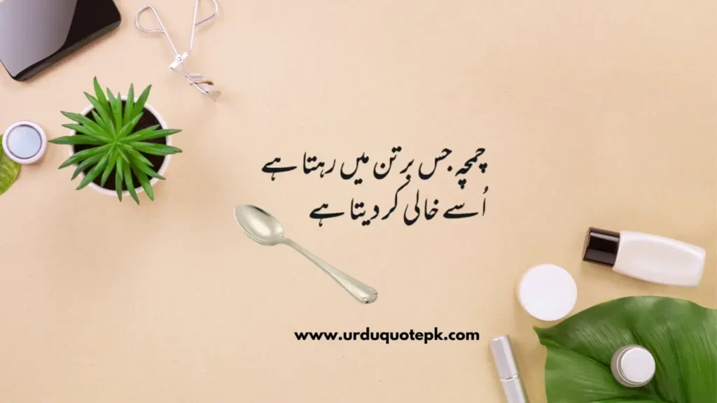 This aesthetic picture show urdu quote about neature.