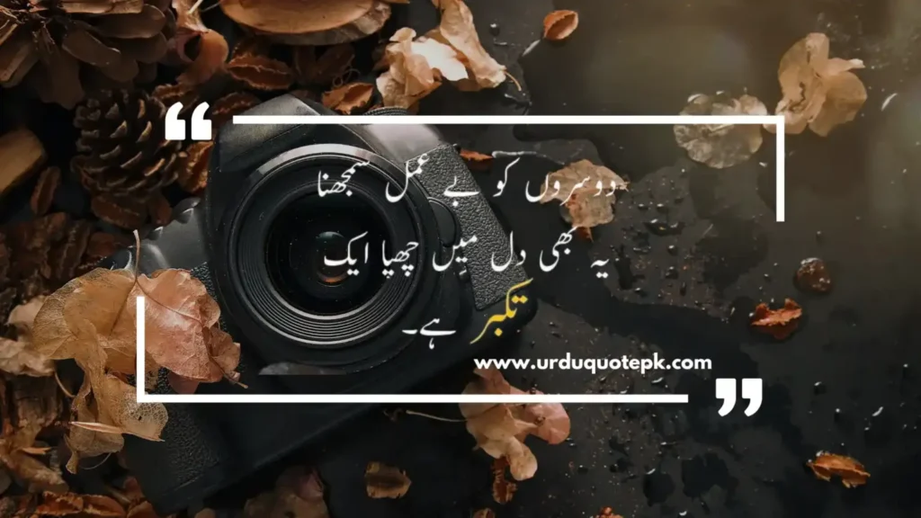 This aesthetic picture show urdu quote and poetry about motivation.
