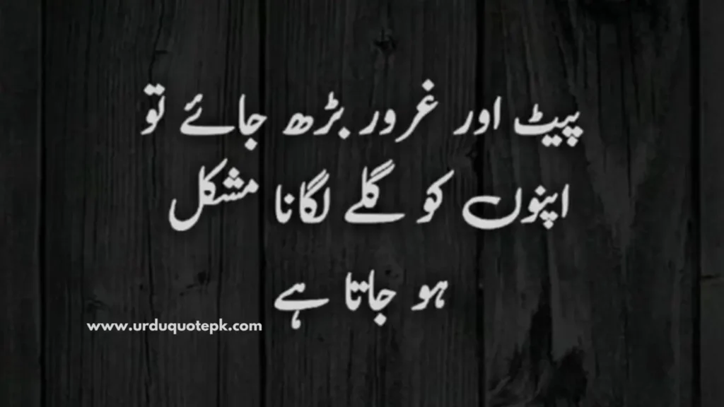 This aesthetic picture show urdu quote and shyri about neature.