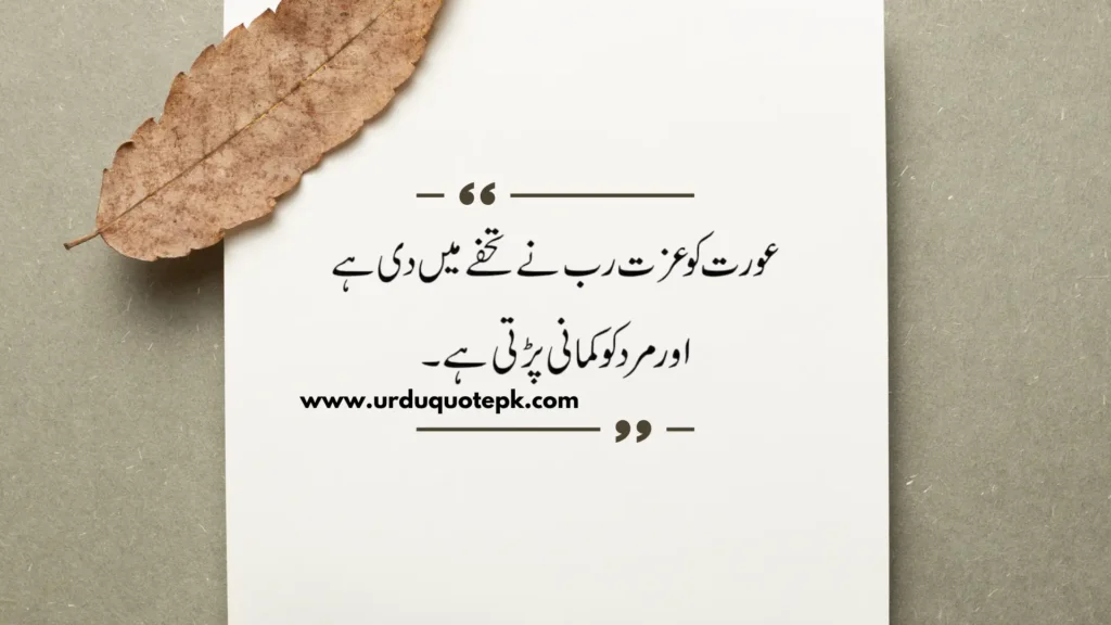 This aesthetic picture show urdu quote about neature.