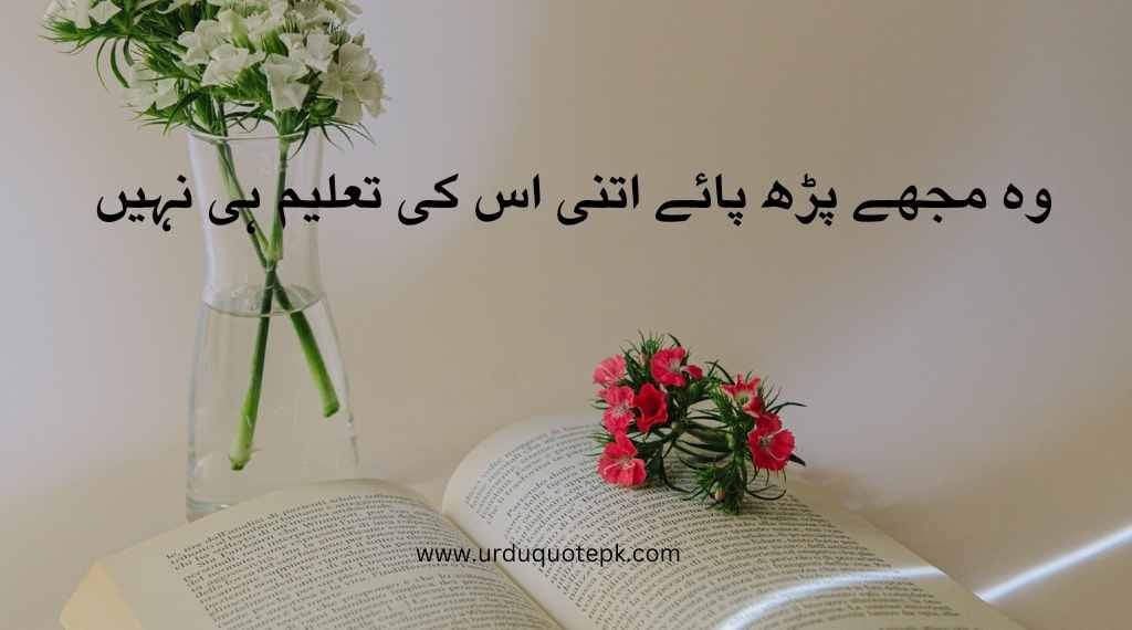 A aesthetic Picture of flower and Sad Urdu Quotes