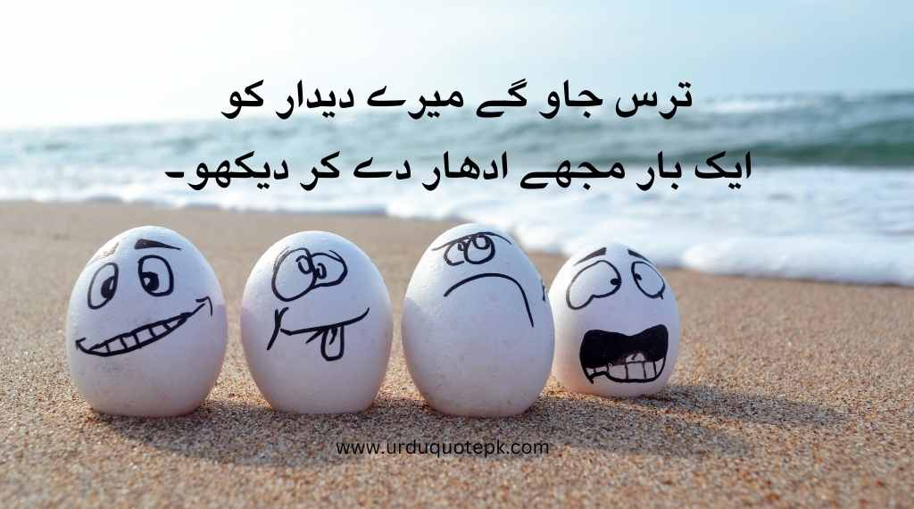 A image of eag with funny quotes in urdu.