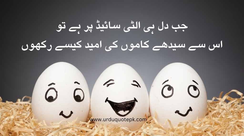 A image of eag with funny quotes in urdu.