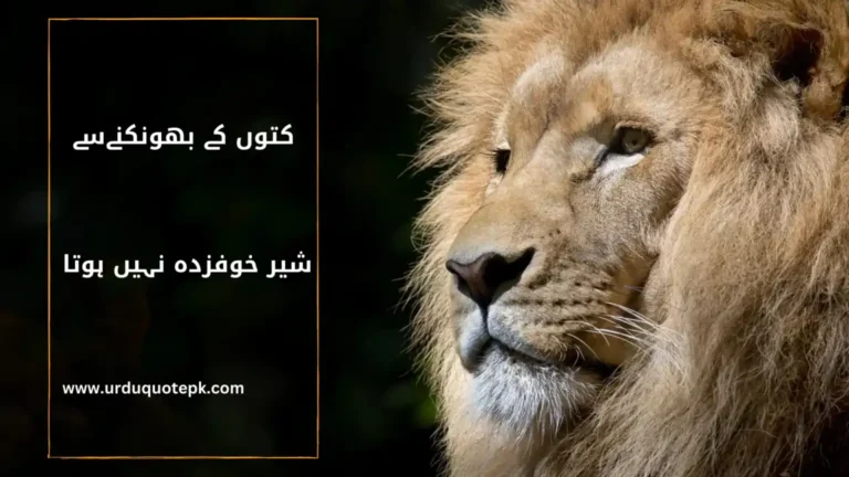 inspirational urdu Quote