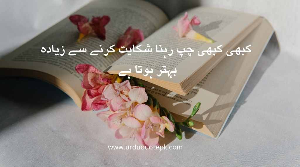 A aesthetic Picture of Sad Urdu Quotes 