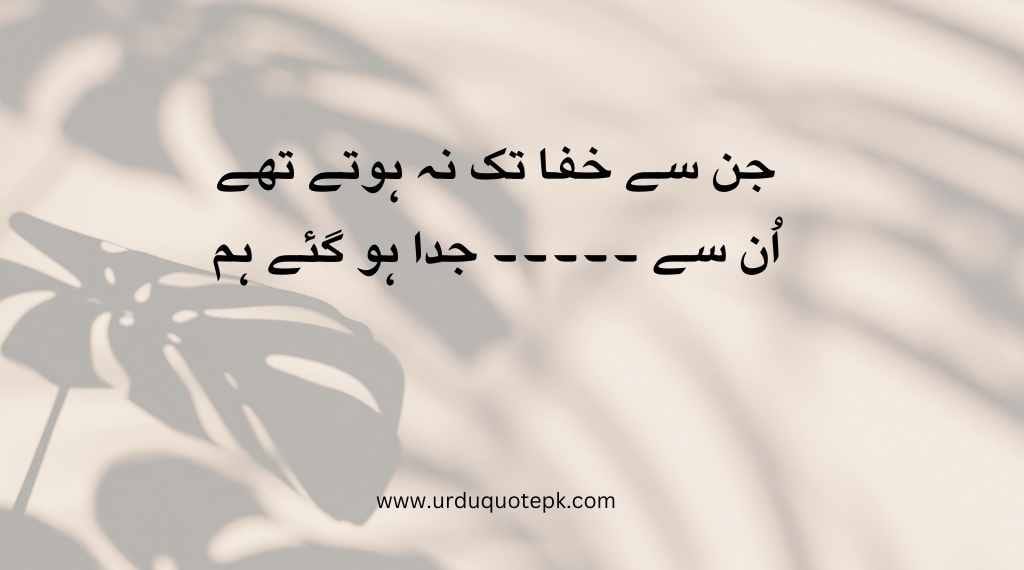 A aesthetic Picture of flower and Sad Urdu Quotes