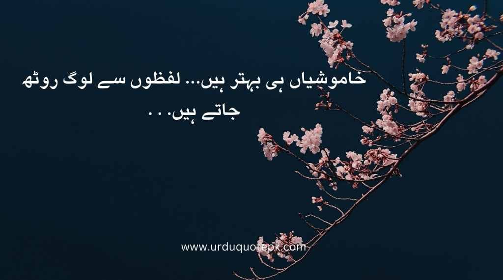 A aesthetic Picture of heart and Sad Urdu Quotes with sad poetry