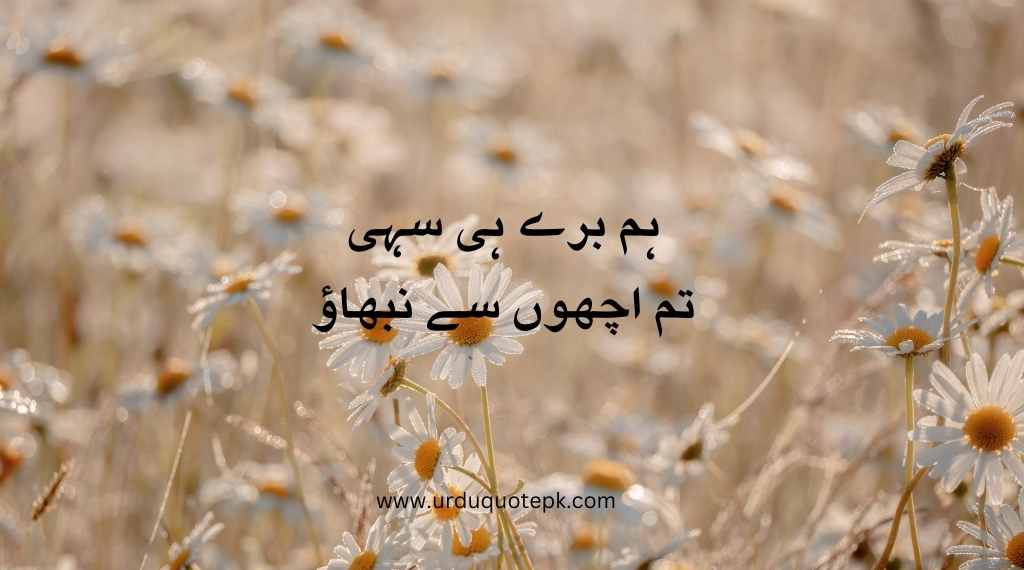 A aesthetic Picture of flower and Sad Urdu Quotes
