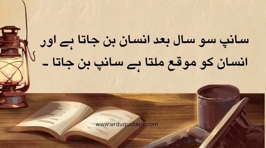 A image with book and life quotes on urdu.