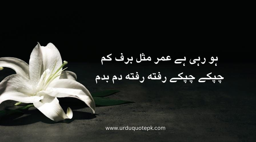 A flower image with urdu poetry in 2 lines.