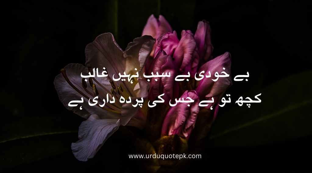 A flower image with poetry in urdu.