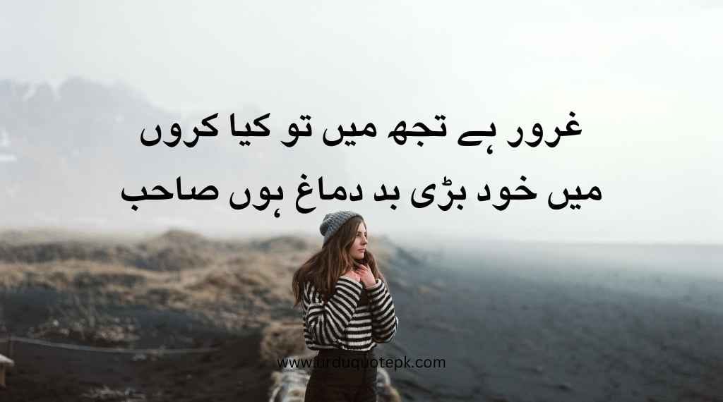 These Attitude Quotes show men's thinking ability.